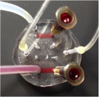 vascular_mimetic_flow_channel_device